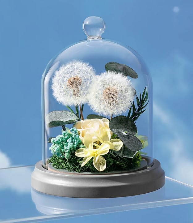 JoyFlower Preserved Dandelion in Glass Dome, Real Dandelion Eternal Flowers Gifts for Women Girlfriend, Preserved Flowers Friendship Birthday Graduation Gifts for Best Friends Sisters Daughter Son