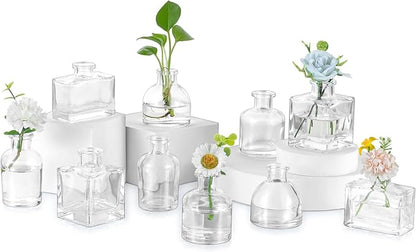 Glasseam Mini Glass Bud Vases: Small Clear Vases for Centerpieces Cute Tiny Flower Vase Set of 10 for Flowers Modern Centerpiece Decor for Wedding Party Dining Room Decoration