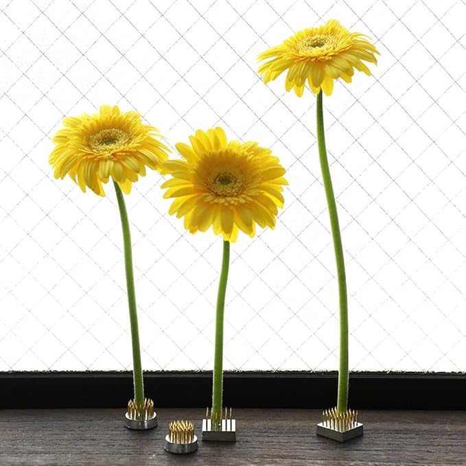 Wazakura 4PCS Mini Ikebana Kenzan Japanese Flower Holder, Made in Japan, Floral Arranging Pin Frog, Round Square - 1"(24mm) Brass