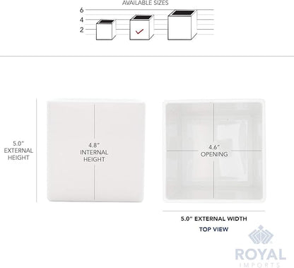 Royal Imports Flower Acrylic Vases Cubes - Decorative Centerpiece for Home or Wedding - Non Breakable Plastic, 5" - White