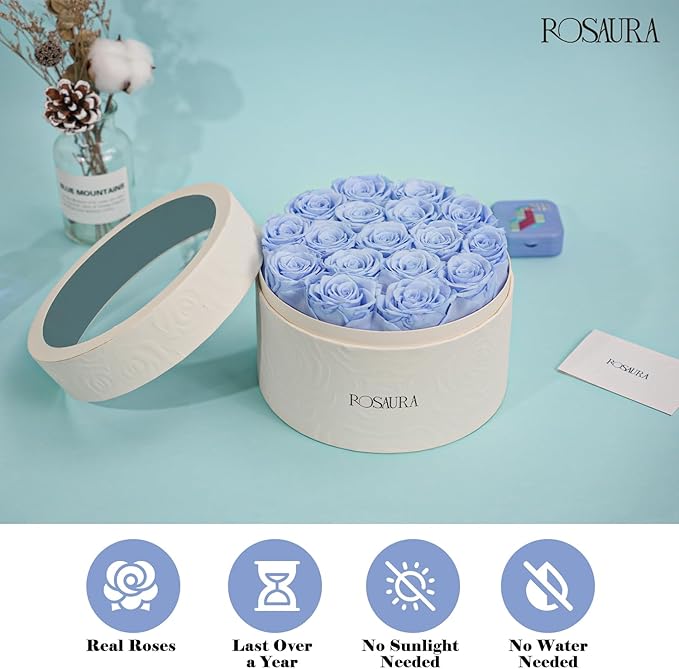 Rosaura Round Preserved Roses Gift Box - Real Forever Flowers for Birthday, Valentine's & Mother's Day (Sky Blue, 17 Roses)