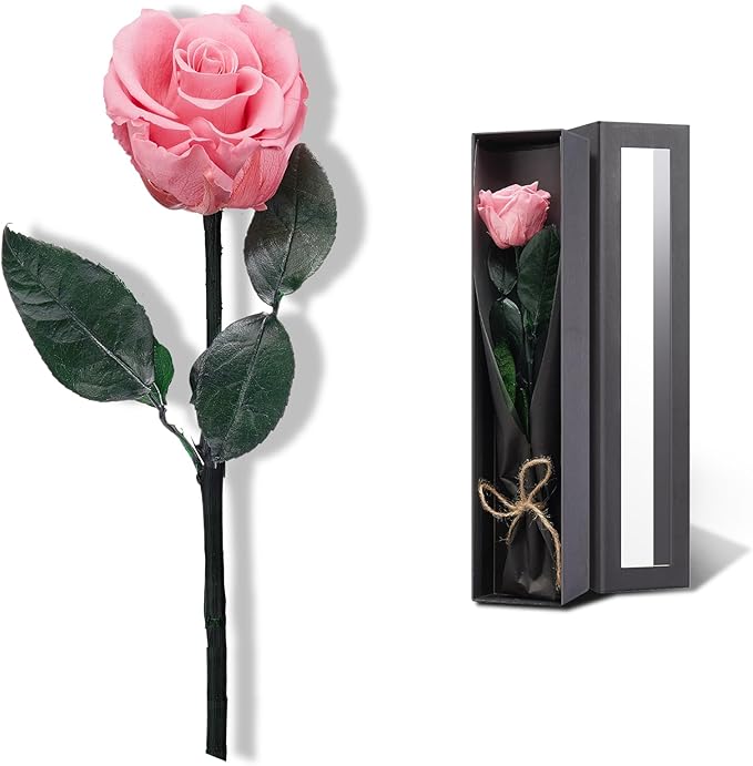 Coral Pink Flowers for Delivery Prime, Preserved Pink Roses Flower Gifts for Women, Real Roses Single Rose Gifts for Her, Mom Birthday Gifts from Daughter, Valentines Flowers