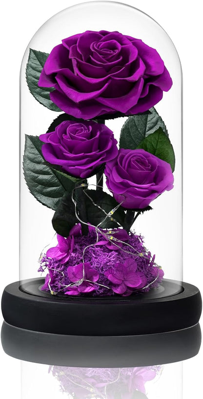 3 Preserved Flowers Roses in Glass Dome with Light for Beauty and The Beast Decor Real Rosas Eternas for Women Mom Birthday,Forever Purple Roses for Delivery, for Wife Girlfriend Her