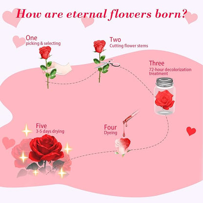 FIACO Preserved Rose Birthday Gift for Women Forever Fresh Flowers for Prime Delivery Gift for Mom Grandma Wife Valentines Mothers Day Christmas Anniversary Eternal Roses in Glass Dome