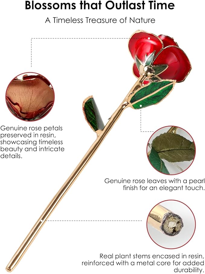 Gold Dipped Rose - Hand-Dipped Real 24K Gold Rose - Genuine One of a Kind - Eternal Romantic Present for Her - Perfect for Valentines, Mother's Day, Anniversary, Birthday (Red)