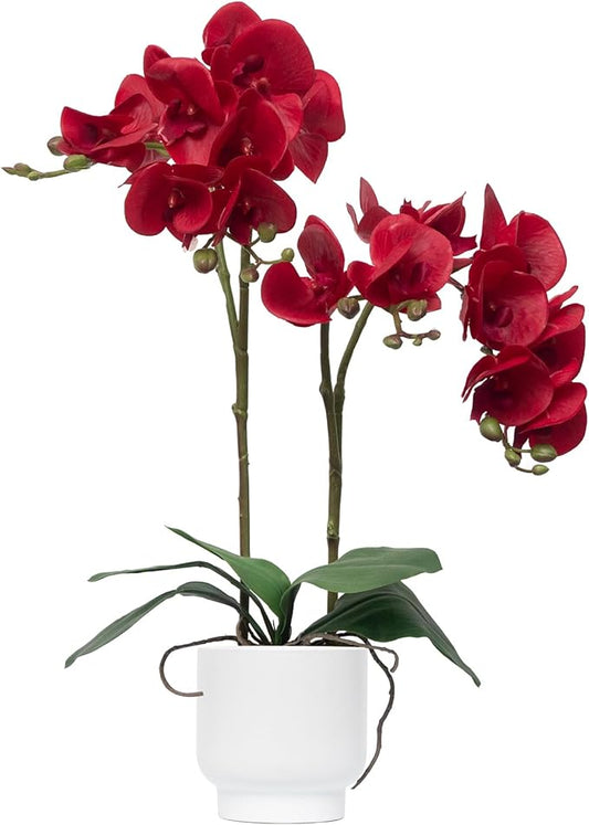 CXGS Orchids Artificial Flowers Real Touch Fake Flowers in Ceramic Pot 20" Red Faux Orchid Plant Lifelike Silk Phalaenopsis for Centerpiece Hotel Home Indoor Decor
