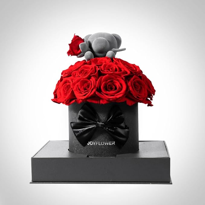 JoyFlower Preserved Real Rose in Acrylic Box, Forever Flowers Red Rose Bear Gift for Women Wife Girlfriend Mom Grandma, Eternal Rose Gifts for Birthday, Anniversary, Christmas, Valentines Mothers Day
