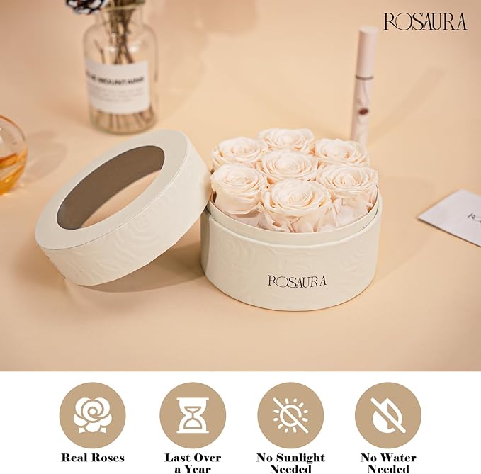 Rosaura Round Preserved Roses Gift Box - Real Forever Flowers for Birthday, Valentine's & Mother's Day (Champagne, 7 Roses)