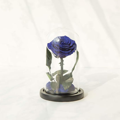 NATROSES Handmade Preserved Roses in Glass Dome, Blue Roses, Preserved Flowers Gifts for Women, Mothers Day Flowers
