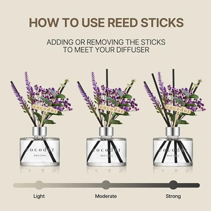 COCODOR Lavender Reed Diffuser/Black Cherry / 6.7oz(200ml) / 1 Pack/Home Decor & Office Decor, Fragrance and Gifts