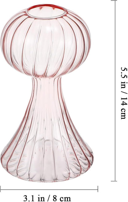 VANZACK 2Pcs Vintage Handblown Glass Pumpkin Vase Small Clear Flower Pots in Pink and Light Orange for Home Kitchen Office Decor Cute Wide-Mouth Design Smooth Surface Easy to Clean