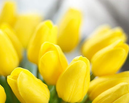 30pcs Artificial Tulips Flowers Real Touch Yellow Tulips Fake Holland PU Tulip Bouquet Latex Flowers for Wedding Party Office Home Kitchen Decoration (Yellow)