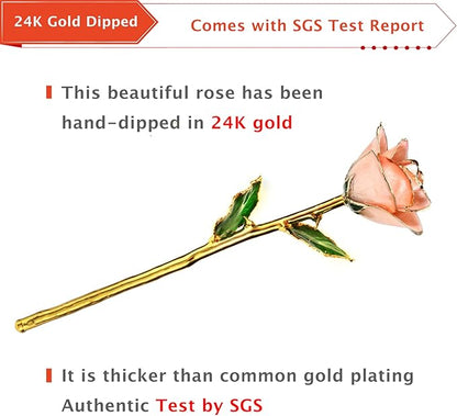 AliveRose Anniversary Rose Gift for Wife,24k Gold Real Rose Gift for her, Long Stem Rose Made from Real Gold Rose for Valentines Mothers Day Birthday (Peach Pink with Crystal Vase)