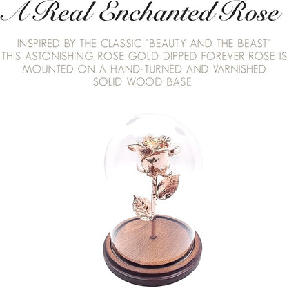 Forever Rose Enchanted Preserved with Real Gold Dipped Rose Lasts Forever | Includes Wood Base & Glass Dome | Rose Gold Roses Assembled by Hand in The USA | Romantic Gifts for Women