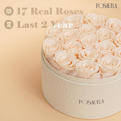 Rosaura Round Preserved Roses Gift Box - Real Forever Flowers for Birthday, Valentine's & Mother's Day (Champagne, 17 Roses)