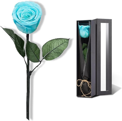 Sky Blue Flowers for Delivery Prime, Preserved Blue Roses Flower Gifts for Women, Real Roses Single Rose Gifts for Her, Mom Birthday Gifts from Daughter, Valentines Flowers