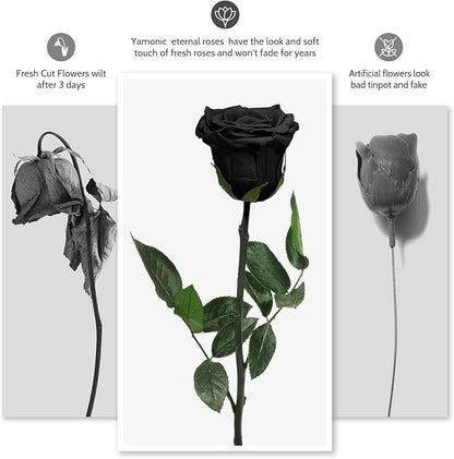 Yamonic Preserved Flowers Rose Gifts for Mom Grandma, Mothers Day Flowers Gifts for Mom, Real Flower Rose Birthday Gifts for Women,Her, Wife,Girlfriend Gifts on Christmas,Valentine's Day,Anniversary