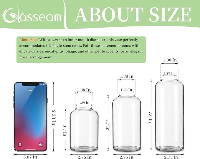 Glasseam Clear Glass Bud Vase, Set of 6 Modern Cylinder for Centerpieces, Blown Craft Aesthetic Decorative Small Flower Vases Bulk for Flowers Rose Tulip Pampas Grass