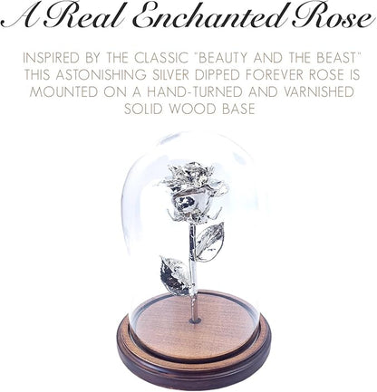 Forever Rose Enchanted Preserved with Real Silver Rose Lasts Forever | Includes Wood Base & Glass Dome | Silver Dipped Rose Assembled by Hand in The USA | Romantic Gifts for Women