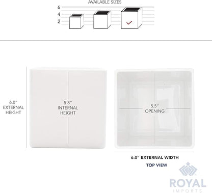 Royal Imports Flower Acrylic Vases Cubes - Decorative Centerpiece for Home or Wedding - Non Breakable Plastic, 6" - White