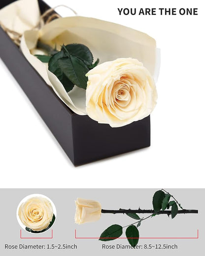 Champagne Flowers for Delivery Prime, Preserved Champagne Roses Flower Gifts for Women, Real Roses Single Rose Gifts for Her, Mom Birthday Gifts from Daughter, Valentines Flowers