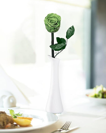 Green Flowers for Delivery Prime, Preserved Green Roses Flower Gifts for Women, Real Roses Single Rose Gifts for Her, Mom Birthday Gifts from Daughter, Valentines Flowers