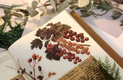 Vintage Flowers Plants Stickers - Doraking 40PCS Peel-Off DIY Decoration PET Paper Flowers and Plants Scrapbook Stickers for Scrapbook (Flower Collection)