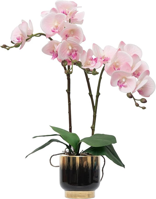 CXGS Orchids Artificial Flowers Real Touch Fake Flowers in Ceramic Pot 20" Pink Faux Orchid Plant Lifelike Silk Phalaenopsis for Centerpiece Hotel Home Indoor Decor
