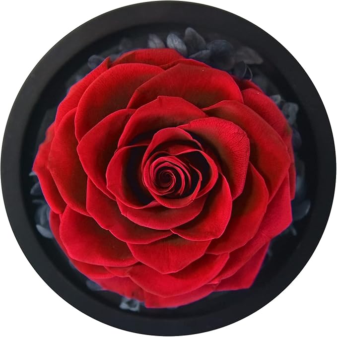 SW Forever Preserved Real Rose in Glass Dome - Eternal Heart Design, Rose Flower Birthday Gifts for Women, Valentine's Day, Mother's Day, Christmas, Anniversary - Unique Gift for Her, Wife, Mom