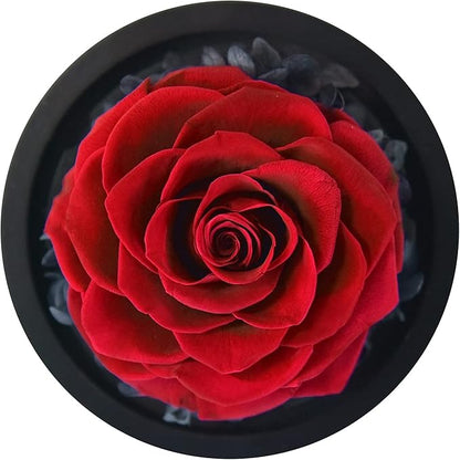 SW Forever Preserved Real Rose in Glass Dome - Eternal Heart Design, Rose Flower Birthday Gifts for Women, Valentine's Day, Mother's Day, Christmas, Anniversary - Unique Gift for Her, Wife, Mom