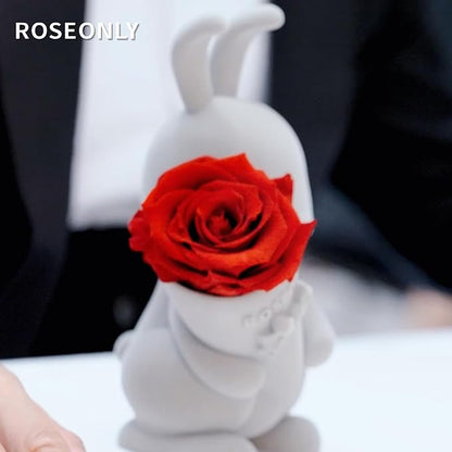 roseonly. Preserved Rose with Sweet Bunny, Eternal Flowers Gifts for Women Girlfriend Wife Mothers Real Roses for Valentine's Day Christmas Birthday Mother's Day Anniversary (Mini)