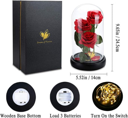 Christmas Flower Gifts for Women,Beauty and The Beast Rose in Glass Dome with 2 Light Modes,Eternal Rose Romantic Xmas Gift for Her,Xmas Birthday Gifts for Women Mom Wife Girlfriend,Silk Red Rose