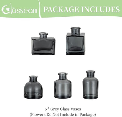 Glasseam Gray Glass Bud Vase: Mini Small Vases for Centerpieces Cute Flower Vase Set of 5 Tiny Vases for Flowers Decorative Centerpiece Table Decor for Wedding Party Dining Room Decoration