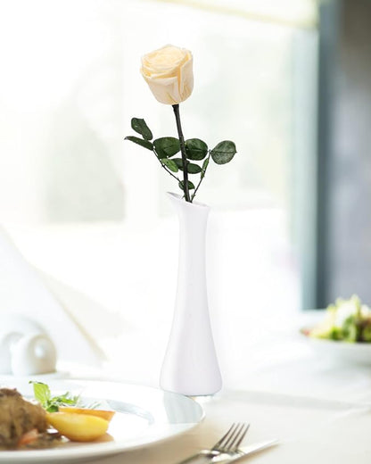 Champagne Flowers for Delivery Prime, Preserved Champagne Roses Flower Gifts for Women, Real Roses Single Rose Gifts for Her, Mom Birthday Gifts from Daughter, Valentines Flowers