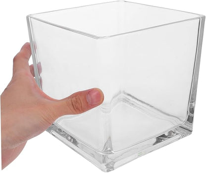 NUOBESTY Clear Thickened Square Glass Vase for Hydroponic Plants Modern Decorative Flower Container Smooth Touch Table Centerpiece for Home and Office