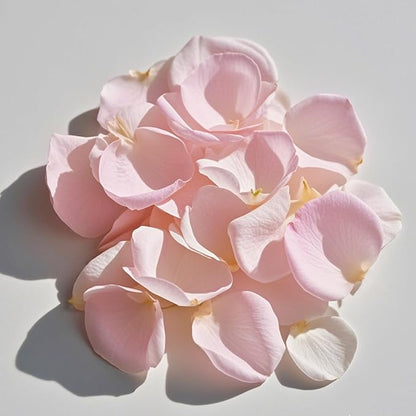 3.5 Oz Dried Rose Petals Wedding Biodegradable Petals, Natural Preservation Real Flower Petals, Suitable for Flower Petals for Flower Girl, Romantic Night, Table Decoration (White+Pink, 100g)
