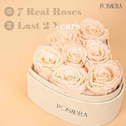 Rosaura Heart-Shaped Preserved Roses Gift Box - Real Forever Flowers for Birthday, Valentine's & Mother's Day (Champagne, 7 roses)