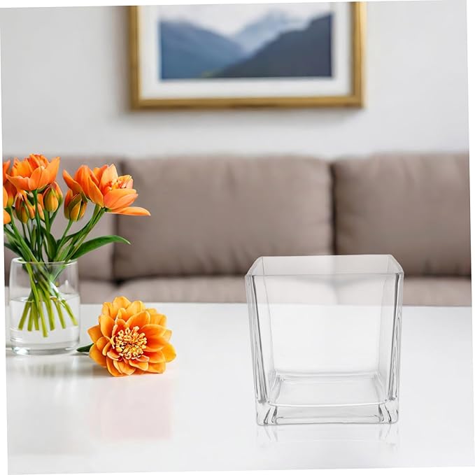 NUOBESTY Clear Thickened Square Glass Vase for Hydroponic Plants Modern Decorative Flower Container Smooth Touch Table Centerpiece for Home and Office