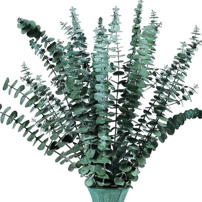 20pcs Dried Eucalyptus Stems - Real Long Eucalyptus, Fall Decorations for Home, 17" Floral Arrangement, Wedding (Green)
