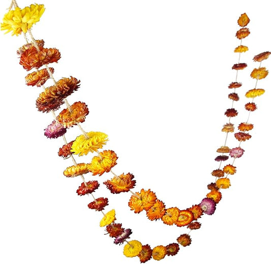 Dried Flowers Garland Real Daisy Sunflower Garlands 6.6ft Natural Dried Daisy Flowers Heads Gerbera Daisies Dry Flower Arrangements for Wedding Boho Decor Home Party Wall Hanging Decoration