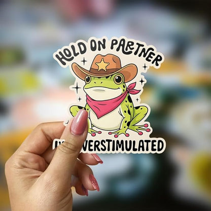 HANDICHI Design 5-Pack 6 Inch Hold On Partner I’m Overstimulated Stickers – Funny Meme Vinyl Decals for Water Bottles, Laptops, Journals, Scrapbooks – Sarcastic Gift for Frog Lovers