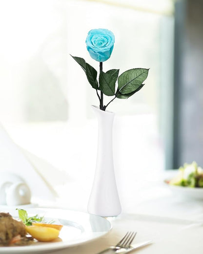 Sky Blue Flowers for Delivery Prime, Preserved Blue Roses Flower Gifts for Women, Real Roses Single Rose Gifts for Her, Mom Birthday Gifts from Daughter, Valentines Flowers