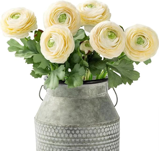 Artificial Ranunculus Flowers with Real Touch Stem, Silk Ranunculus Flowers (6 Pack) (White)