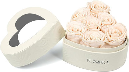 Rosaura Heart-Shaped Preserved Roses Gift Box - Real Forever Flowers for Birthday, Valentine's & Mother's Day (Champagne, 7 roses)
