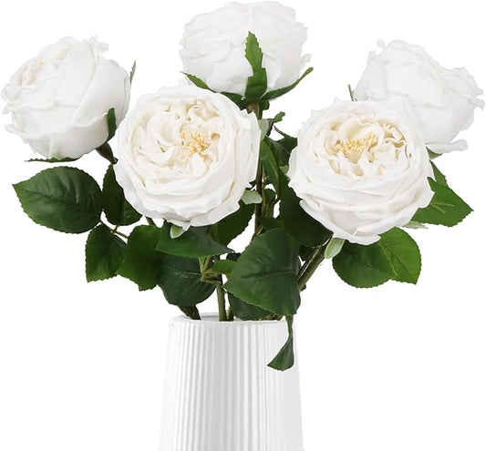 IPOPU White Roses Artificial Flowers,5PCS Real Touch Austin Roses Faux Peony Flowers Stems for Wedding Bouquet Party Home Decor(White)