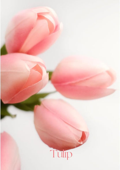 18in Artificial Tulip Flowers, 5 Pcs Real Touch Latex Faux Flowers Tulip with Fake Stems for Spring Bouquet Easter Wedding Floral Arrangement Home Party Office Kitchen Decor - Light Pink