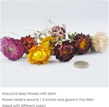 L'BREVOGA Dried Flower Bouquets, Natural Dried Daisy, Chrysanthemums with Baby’s Breath for Floral Arrangement Home Decoration Party Gift (Daisy)