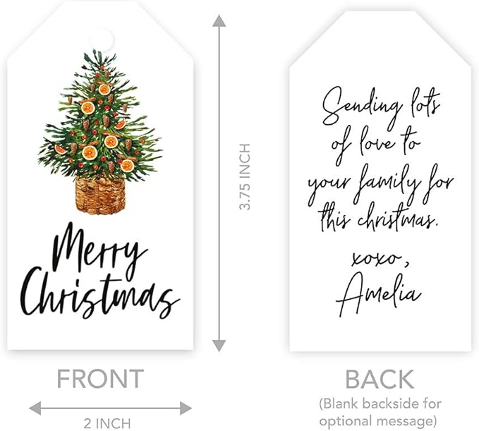 Andaz Press Christmas Holiday Season Classic Gift Tags, Merry Christmas to from Classic Favor Tags, Citrus Christmas Tree Design, for Holiday Events, Parties, and Favors, 60-Pack