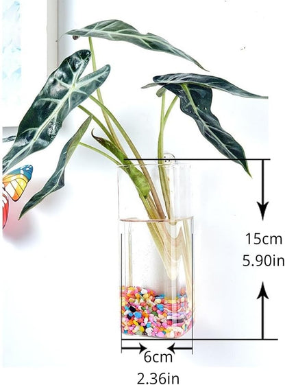 Wall-Mounted Acrylic Planter for Hydroponic Plants – Square Cup Vase, Modern Transparent Design for Home & Office Decoration