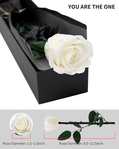 White Flowers for Delivery Prime, Preserved White Roses Flower Gifts for Women, Real Roses Single Rose Gifts for Her, Mom Birthday Gifts from Daughter, Valentines Flowers